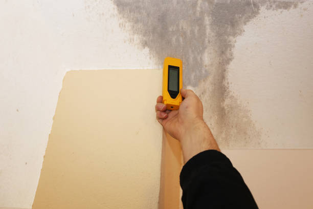 Best Forensic Mold Investigation  in Escanaba, MI