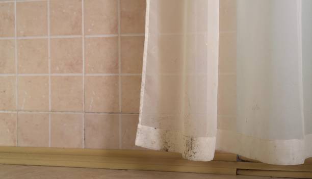 Best Indoor Air Quality Assessment  in Escanaba, MI