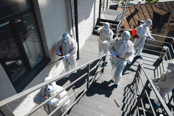 Best Water Damage & Mold Remediation  in Escanaba, MI