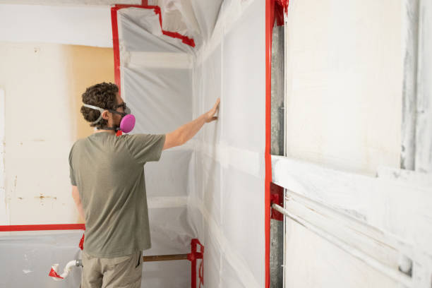 Best Biohazard Mold Removal  in Escanaba, MI
