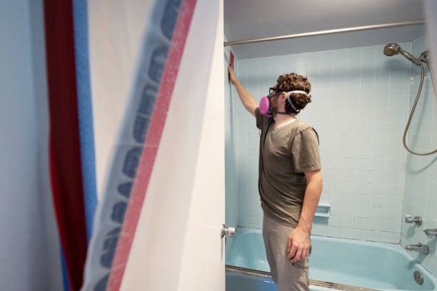 Best Mold Remediation for Rental Properties  in Escanaba, MI