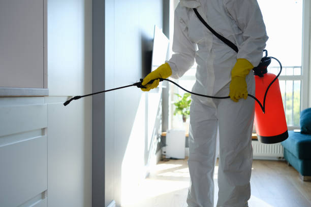 Mold Remediation for Rental Properties in Escanaba, MI