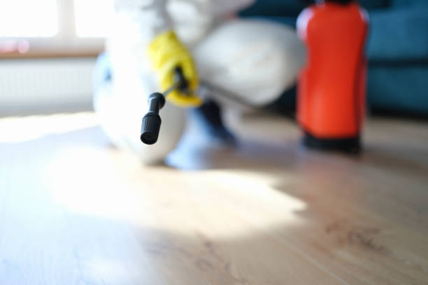 Best Real Estate Mold Inspection  in Escanaba, MI