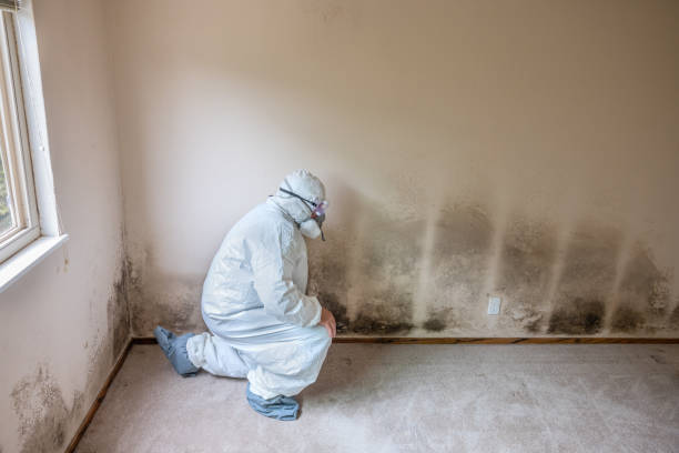 Best Mold Remediation for Healthcare Facilities  in Escanaba, MI