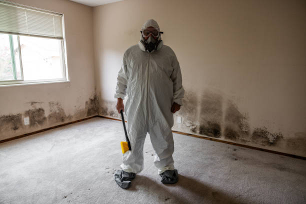 Best Mold Odor Removal Services  in Escanaba, MI